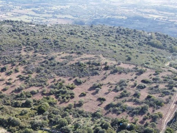 terreno agricolo in vendita ad Olbia in zona Santa Mariedda