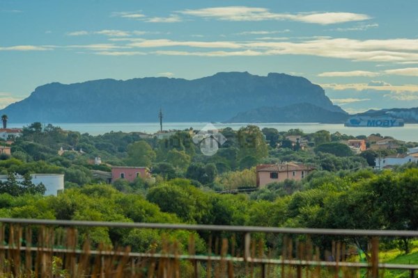 appartamento in vendita ad Olbia in zona Pittulongu