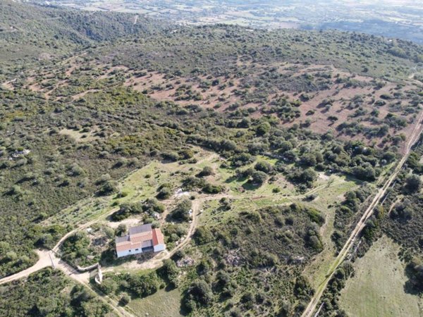 terreno agricolo in vendita ad Olbia in zona Santa Mariedda