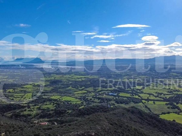 terreno agricolo in vendita ad Olbia in zona Santa Mariedda