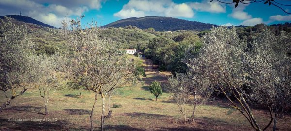 quadrivano in vendita ad Olbia in zona Sole Ruiu