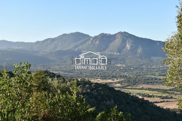 casa indipendente in vendita ad Olbia in zona Santa Mariedda
