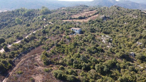 casa indipendente in vendita ad Olbia in zona Sole Ruiu