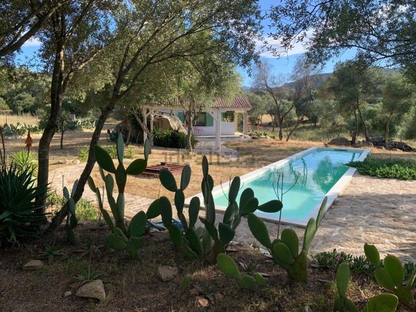 quadrivano in vendita ad Olbia