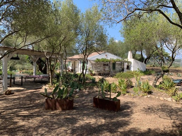 quadrivano in vendita ad Olbia