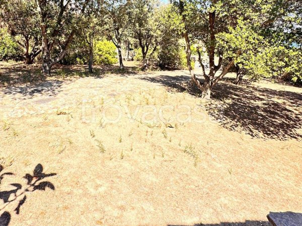 casa indipendente in vendita ad Olbia in zona Porto Rotondo