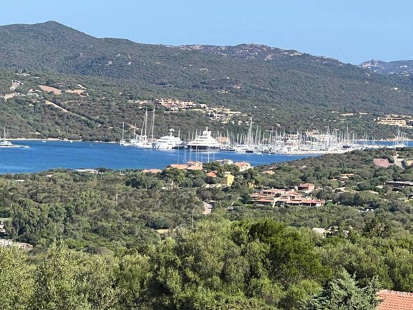 villa in vendita ad Olbia in zona Porto Rotondo