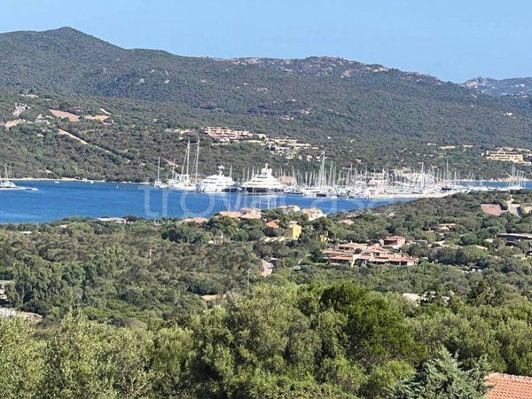 villa in vendita ad Olbia in zona Porto Rotondo