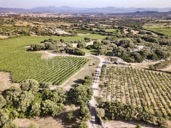 casa indipendente in vendita ad Olbia