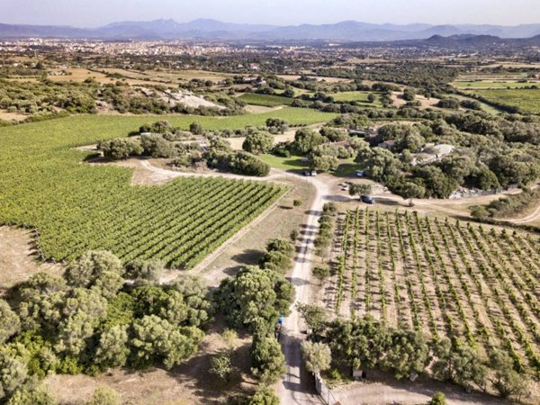 casale in vendita ad Olbia in zona Santa Mariedda
