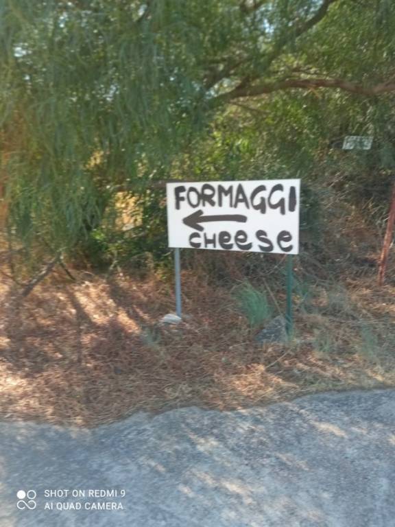 terreno agricolo in vendita ad Olbia in zona Cugnana