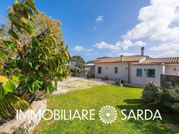 casa indipendente in vendita ad Olbia in zona Santa Lucia