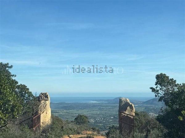 terreno agricolo in vendita ad Olbia in zona Berchiddeddu