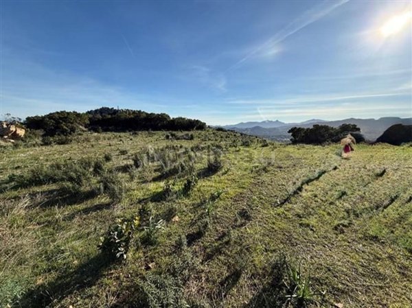 immagine annuncio 0 di 1