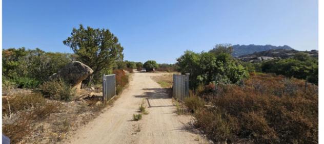 terreno agricolo in vendita ad Olbia