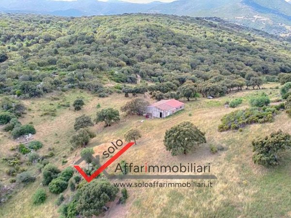 terreno agricolo in vendita ad Olbia in zona Berchiddeddu