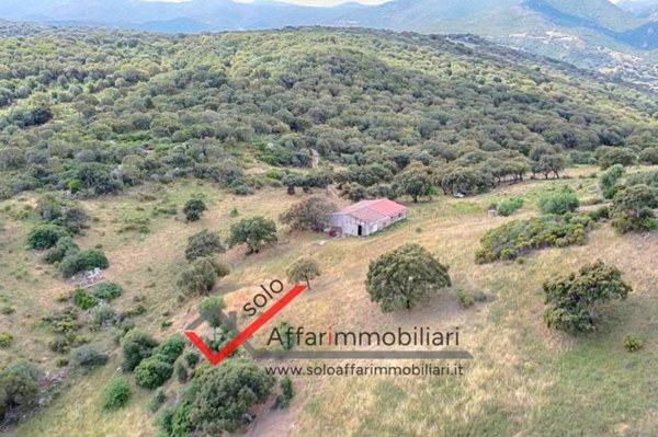 terreno agricolo in vendita ad Olbia in zona Berchiddeddu