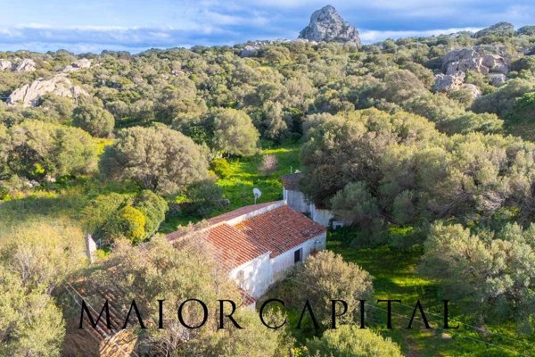 casa indipendente in vendita ad Olbia in zona San Pantaleo