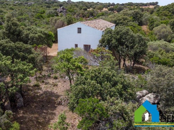 casa indipendente in vendita ad Olbia in zona Putzolu