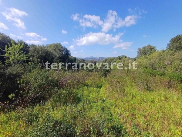 terreno agricolo in vendita ad Olbia in zona Santa Mariedda