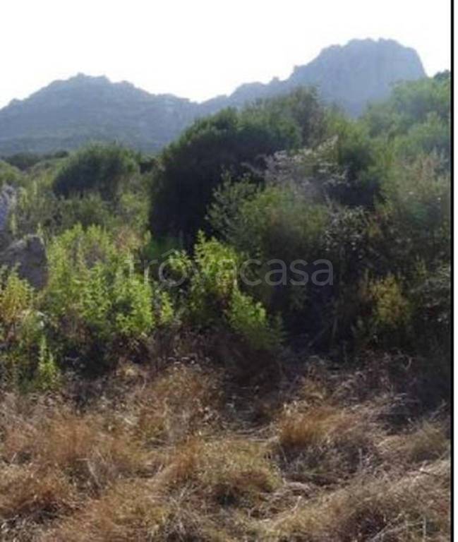 terreno edificabile in vendita ad Olbia