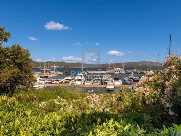 appartamento in vendita ad Olbia in zona Porto Rotondo