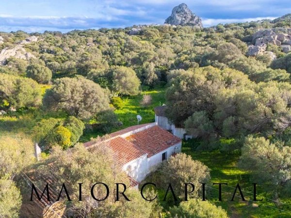 casa indipendente in vendita ad Olbia in zona Sole Ruiu