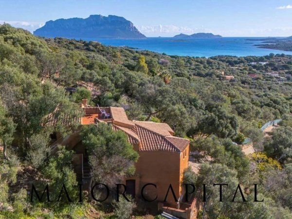 casa indipendente in vendita ad Olbia in zona Porto Istana