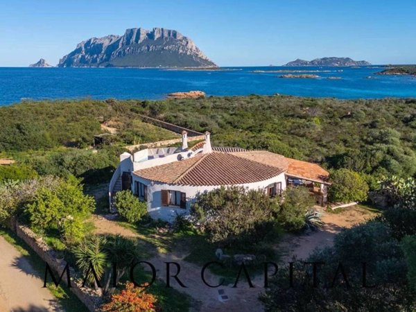 casa indipendente in vendita ad Olbia in zona Porto Istana