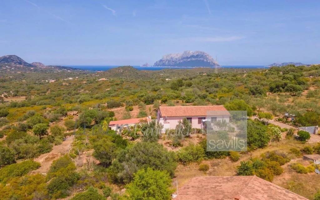 casa indipendente in vendita ad Olbia in zona Murta Maria