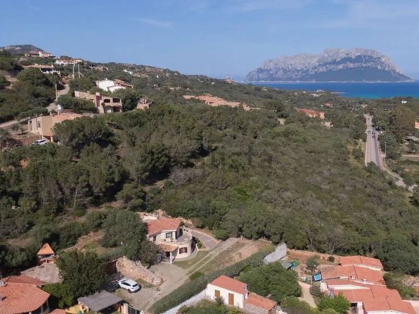 casa indipendente in vendita ad Olbia in zona Porto Istana