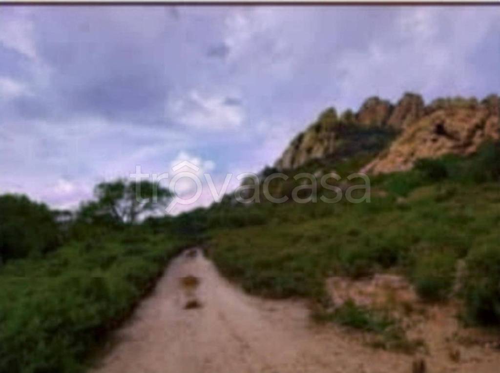 terreno agricolo in vendita ad Olbia in zona San Pantaleo