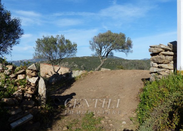 casale in vendita ad Olbia