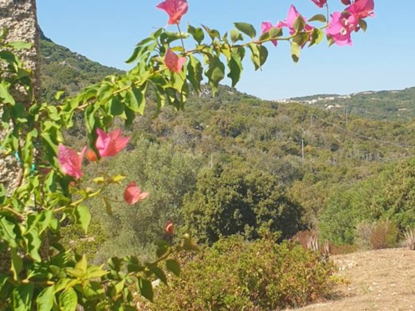 casa indipendente in vendita ad Olbia in zona San Pantaleo