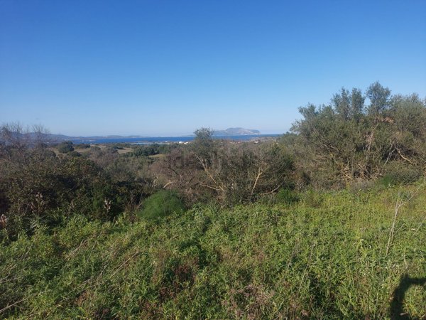 terreno edificabile in vendita ad Olbia in zona Murta Maria