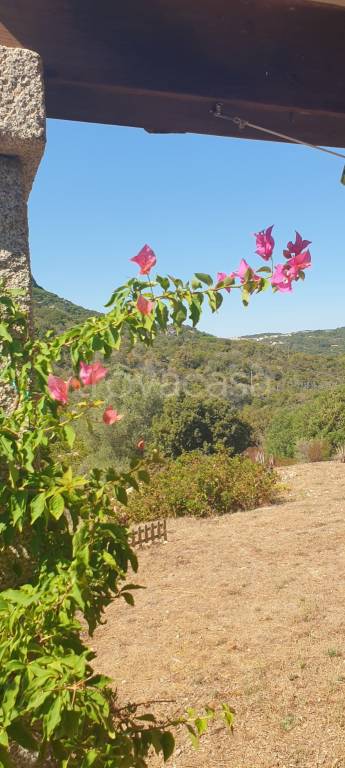 casa indipendente in vendita ad Olbia in zona San Pantaleo