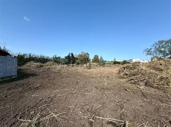 terreno agricolo in vendita ad Olbia in zona Santa Mariedda