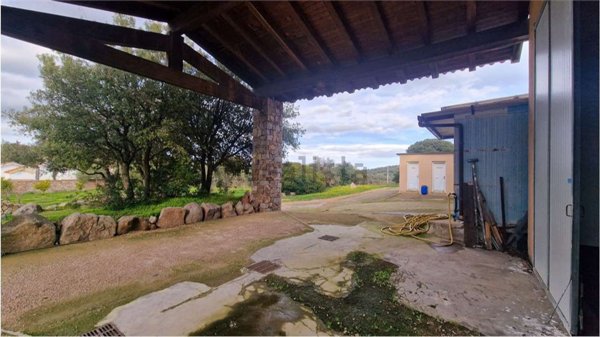 azienda agricola in vendita ad Olbia in zona Berchiddeddu