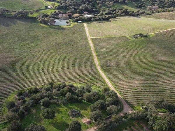negozio in vendita ad Olbia in zona Berchiddeddu