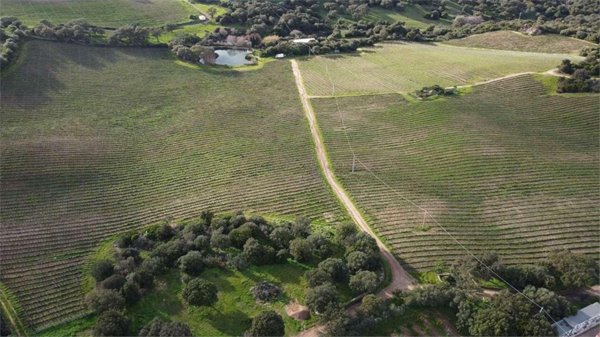 negozio in vendita ad Olbia in zona Berchiddeddu