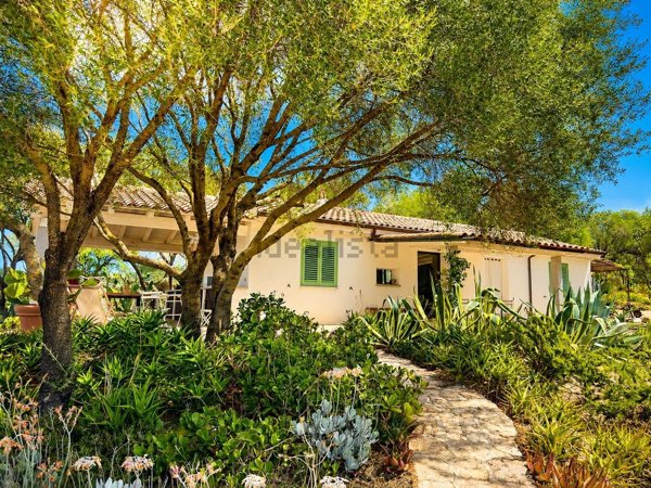 appartamento in vendita ad Olbia