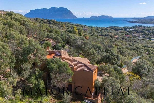 casa indipendente in vendita ad Olbia in zona Porto Istana