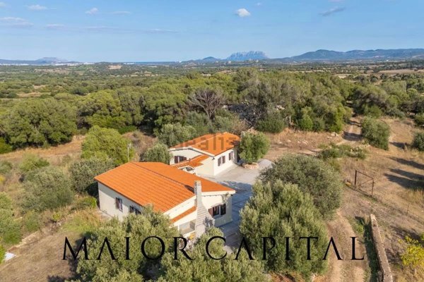 esavano in vendita ad Olbia in zona Santa Mariedda