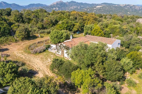 casa indipendente in vendita ad Olbia in zona San Pantaleo