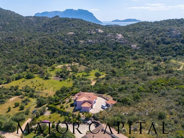 casa indipendente in vendita ad Olbia in zona Porto Istana
