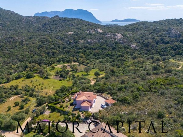casa indipendente in vendita ad Olbia in zona Porto Istana