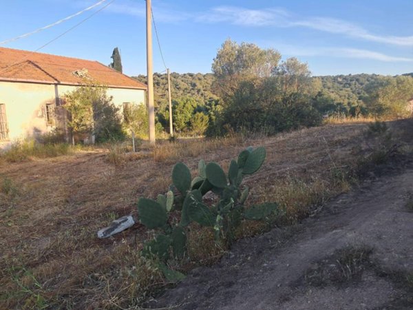 terreno agricolo in vendita ad Olbia in zona San Pantaleo