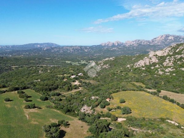 terreno agricolo in vendita ad Olbia in zona Sole Ruiu