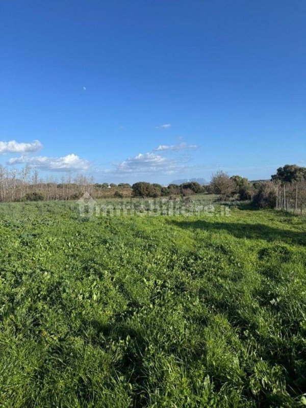 casa indipendente in vendita ad Olbia in zona Santa Mariedda