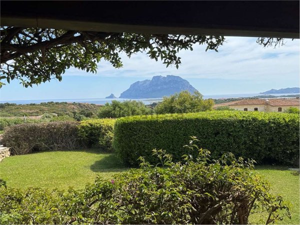 casa indipendente in vendita ad Olbia in zona Porto Istana